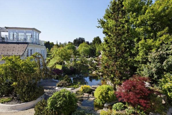 F1 Package Gartenhotel Ochensberger